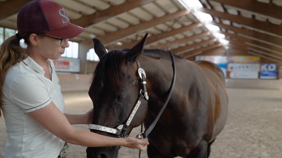 Showmanship: Tipps und Tricks von Stefanie Kuhn